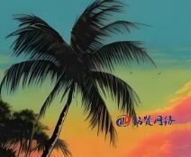 2025年國內(nèi)企業(yè)如何做好網(wǎng)站SEO優(yōu)化工作？